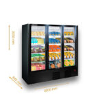 Холодильный шкаф Kansas tandem 3 S1 080/205 D A