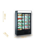 Холодильный шкаф Kansas 2 S1 065-075-085/210 D VA